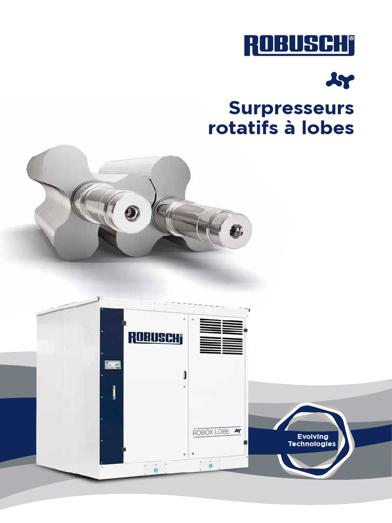 Surpresseurs à lobes rotatifs Robuschi | PDF | Biogaz