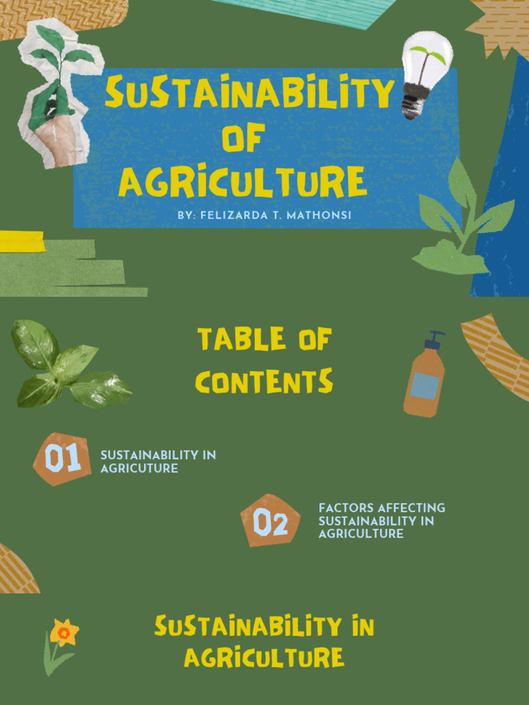 Factors Affecting Sustainability of Agriculture | PDF | Agriculture | Soil