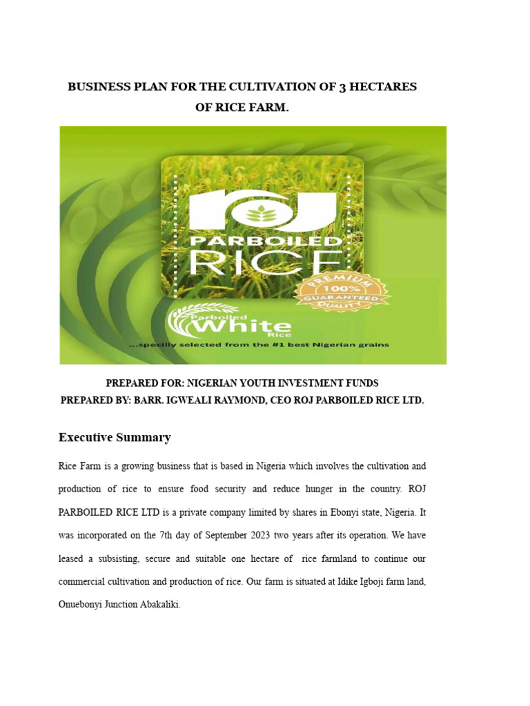 Business Plan for Rice Farming in Nigeria | PDF | Agriculture | Nigeria
