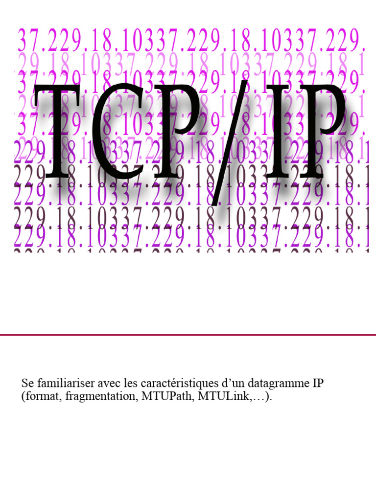 Caractéristiques du datagramme IP | PDF