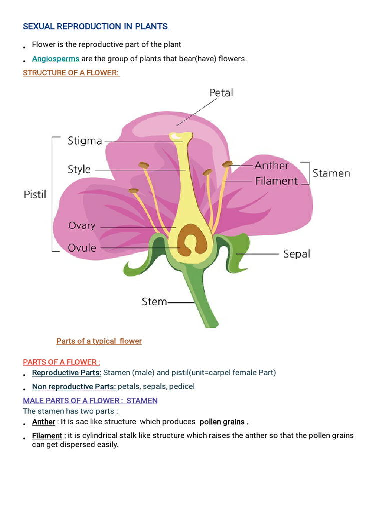 Notes 211220 194029 CBF | PDF