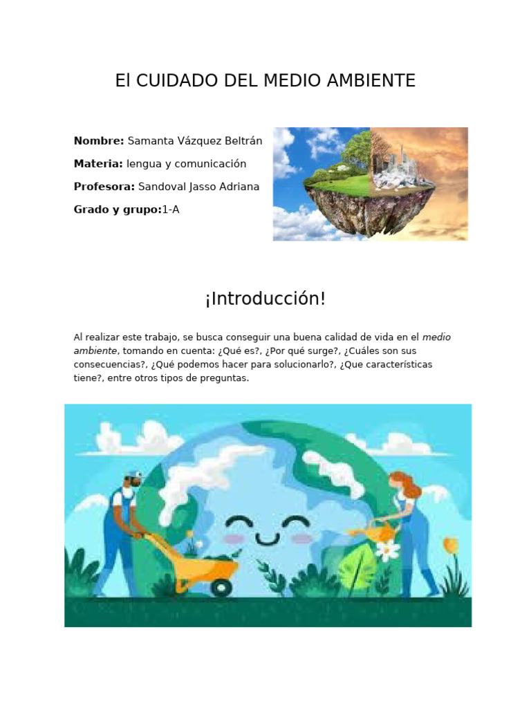El Cuidado Del Medio Ambiente (Sam) | PDF | Entorno natural | Contaminación