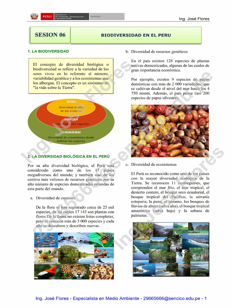 15.SEP 06 - 001-Desbloqueado | PDF