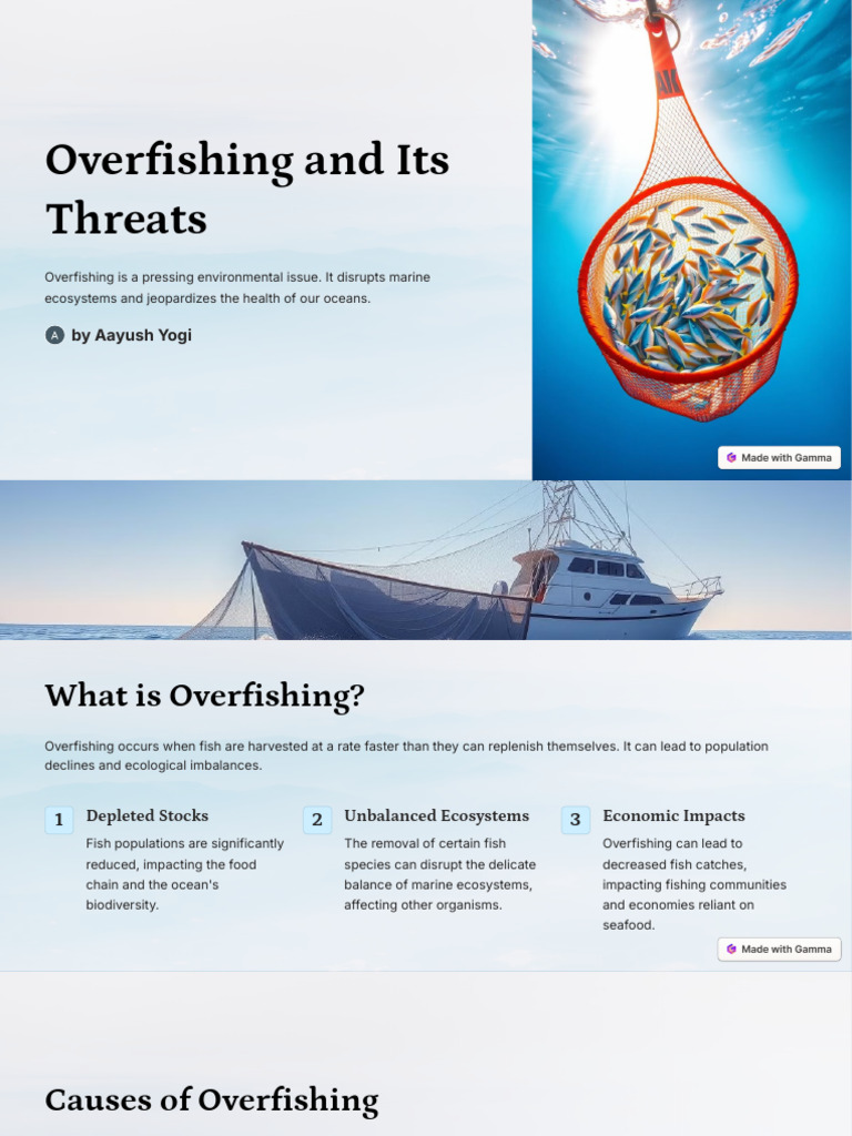 Overfishing: Causes, Impacts, and Solutions | PDF | Overfishing ...
