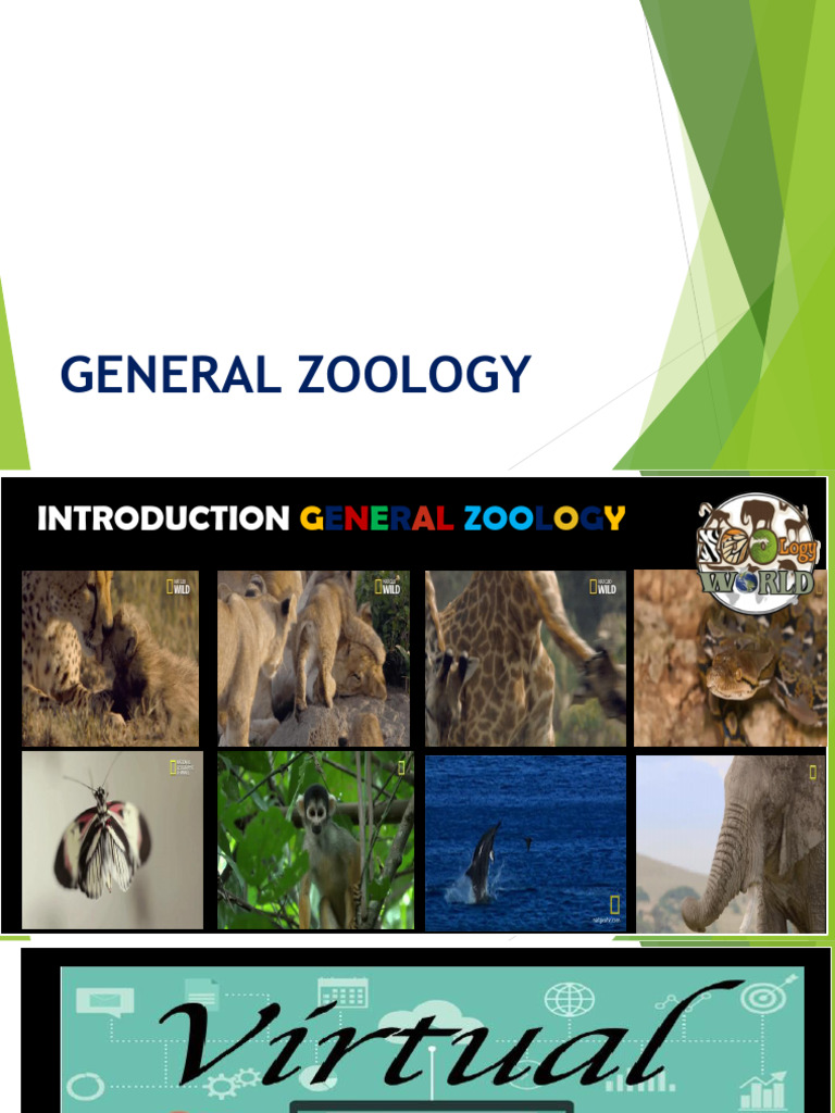 Lesson 1 Intro To Zoology and Its Branches | PDF | Zoology | Herpetology