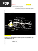 Structure des branchies des poissons | PDF | Branchie | Système ...