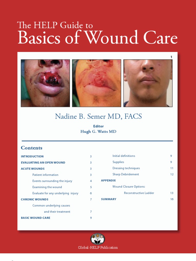 Basics of Wound Care TH e HELP Guide To PDF
