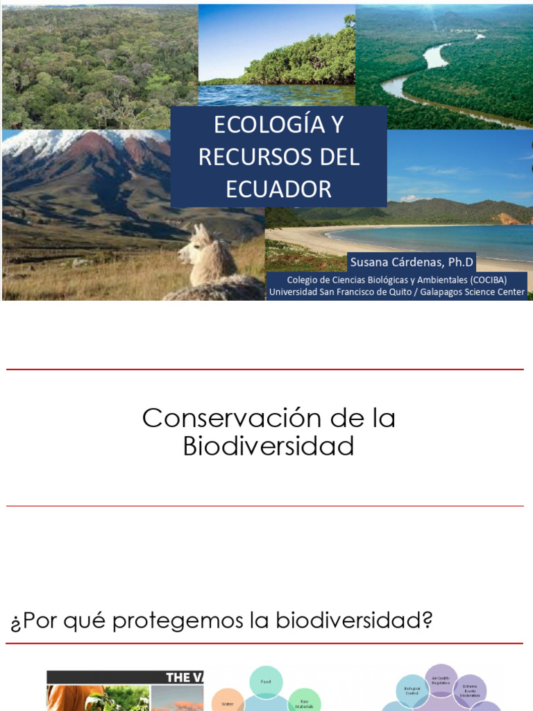 Conservación de la Biodiversidad en Ecuador | PDF | Movimiento ...