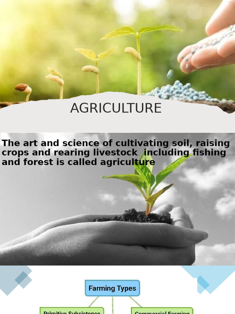 Agriculture Presentation Pdf Agriculture Intensive Farming