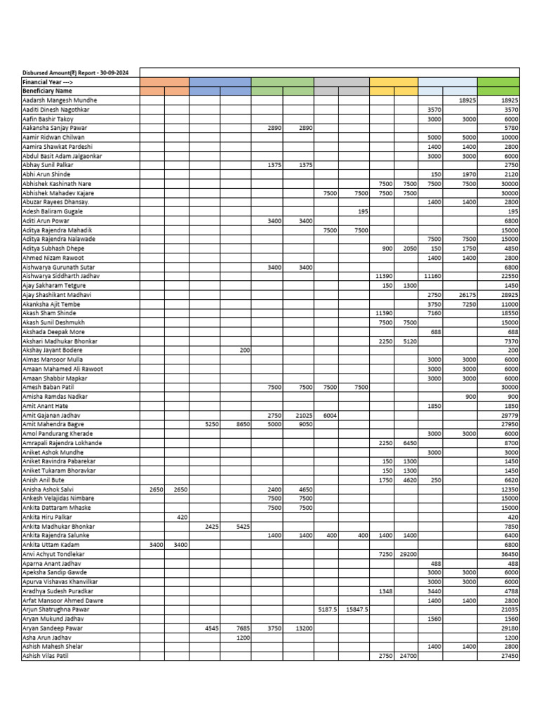 Disbursed Amounts Report 2024 | PDF