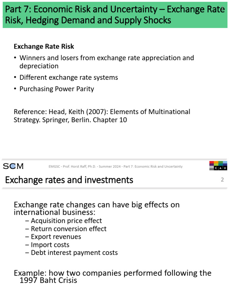 Exchange Rate Risks for Businesses | PDF | Purchasing Power Parity ...