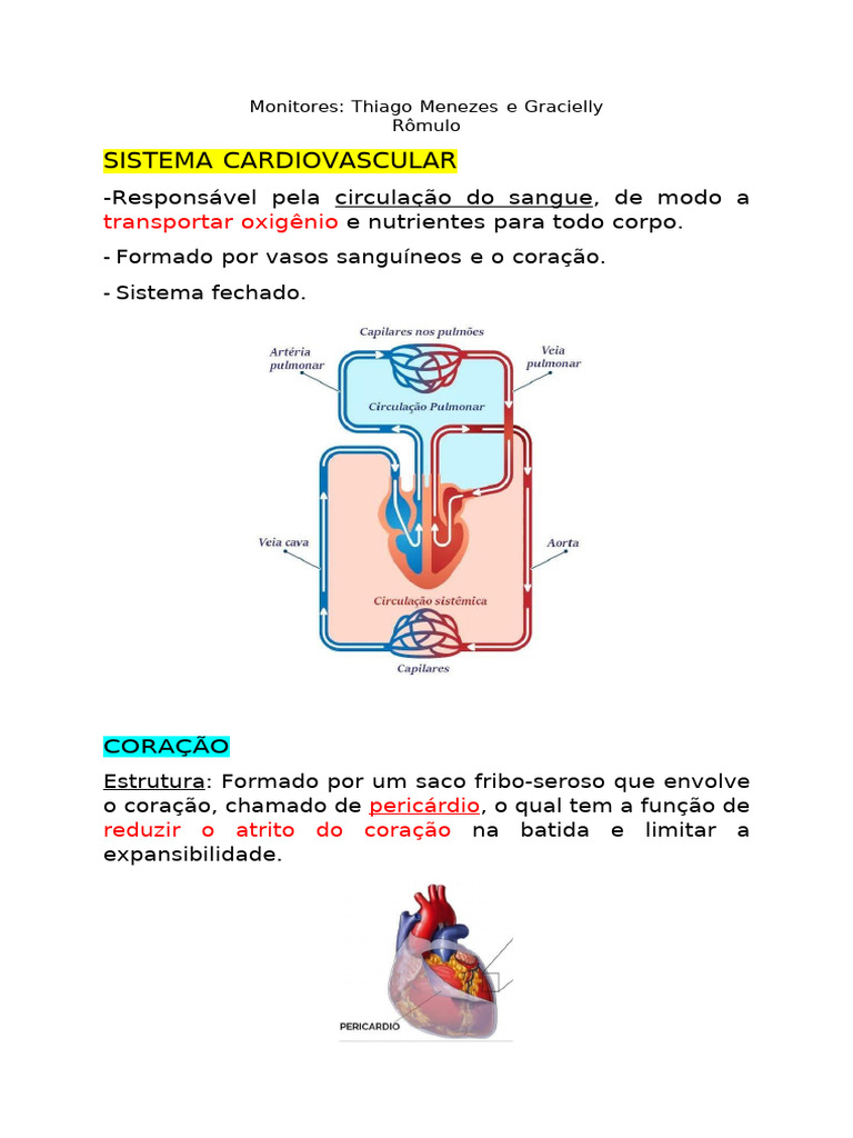 Estrutura e Função do Sistema Cardiovascular | PDF | Coração | Artéria