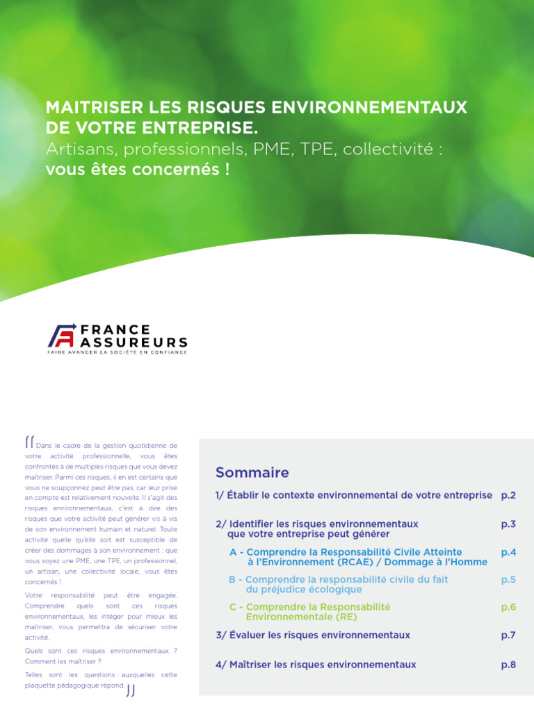 Maîtriser les Risques Environnementaux | PDF | Environnement naturel ...