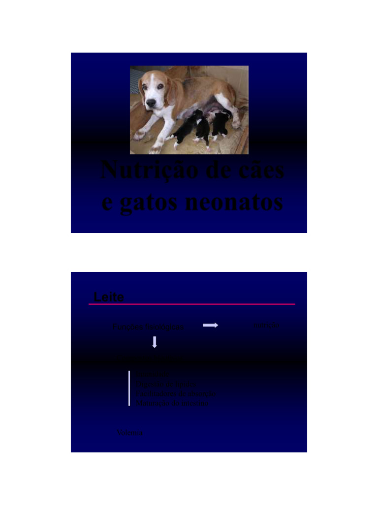 Nutrição de Cães e Gatos Neonatos | PDF | Proteínas | Envelhecimento