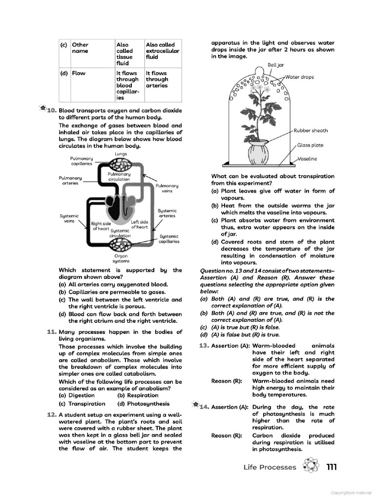 Cbse 2 | PDF