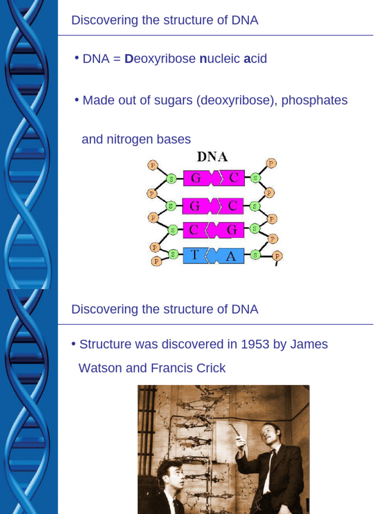 DNA Structure and Replication Overview | PDF | Dna | Dna Replication