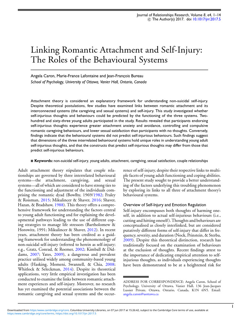 Romantic Attachment and Self-Injury Links | PDF | Attachment Theory ...