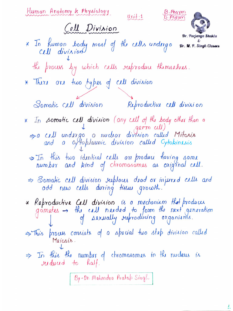 Cell Division Mitosis Pdf Mitosis Biochemistry