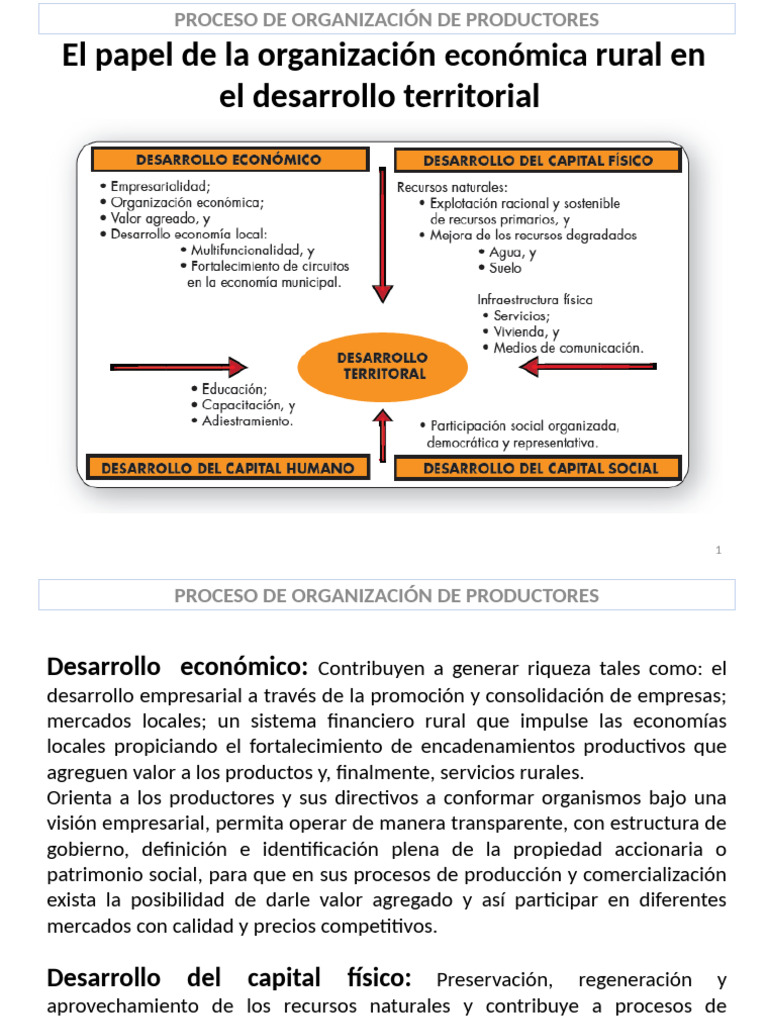 Organización Económica Rural y Desarrollo | PDF | Business | Marketing