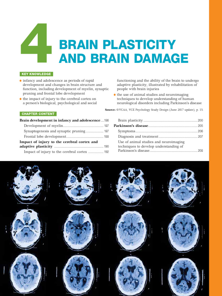 Brain Plasticity and Damage Insights | PDF | Traumatic Brain Injury ...