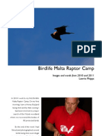 Refelctions On Raptor Camps 2010 and 2011