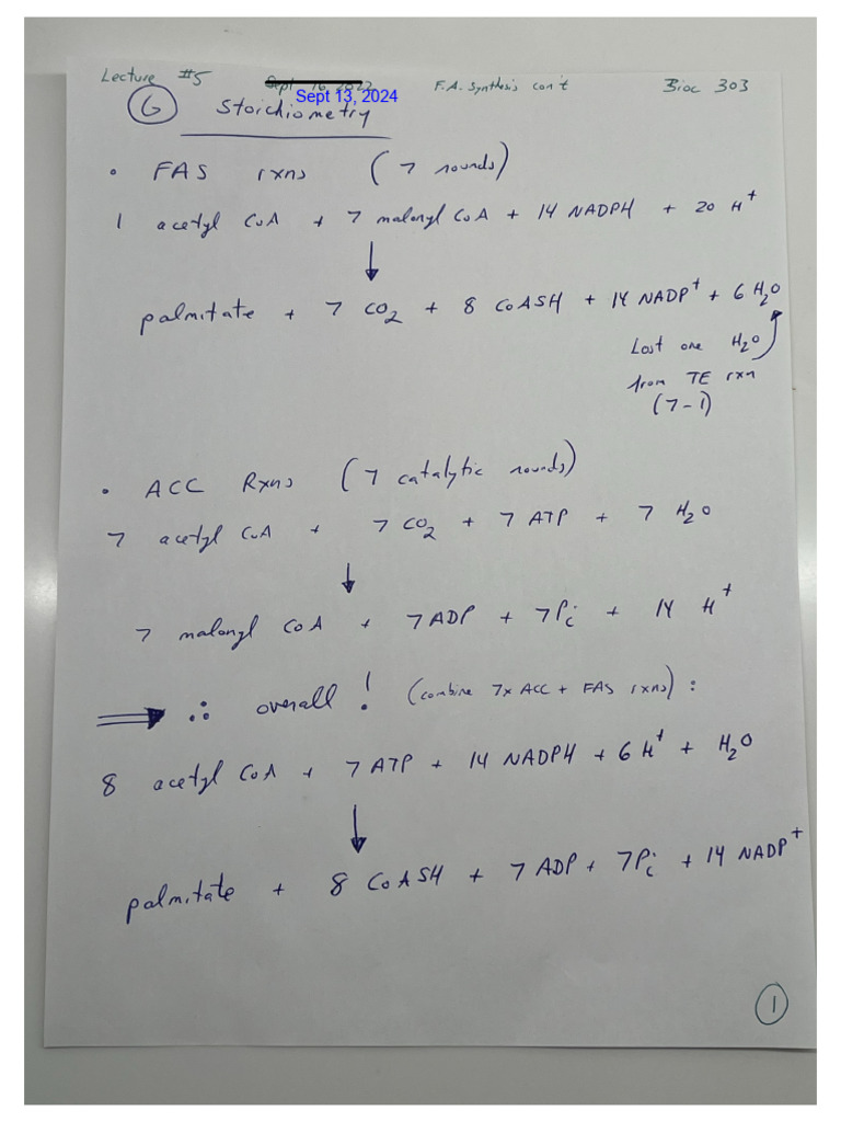 Biochem Lecture 5 Notes | PDF