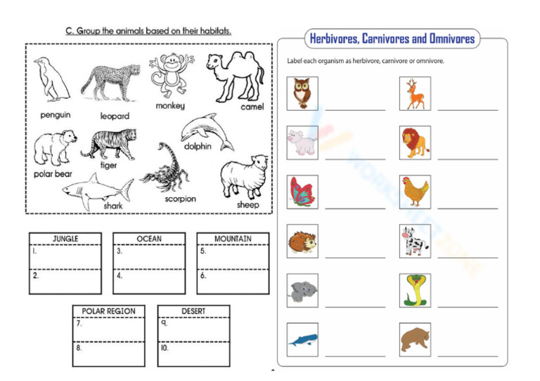 Worksheet Lab Practice 1 | PDF