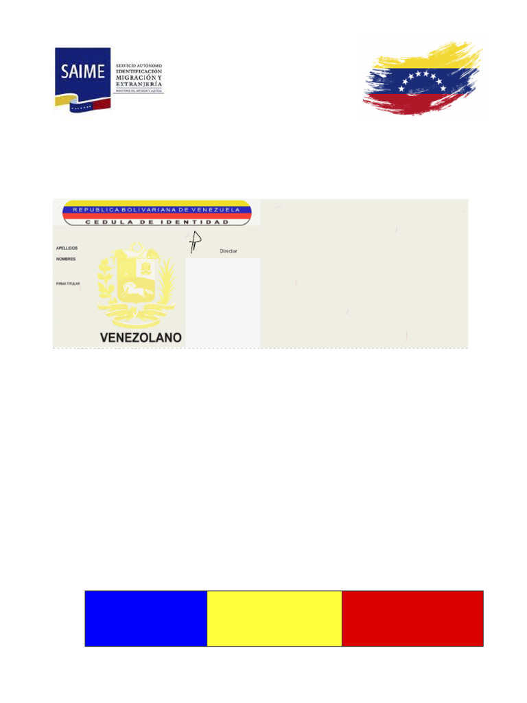 Instrucciones para Cédula de Identidad | PDF