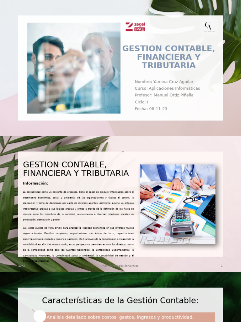 Gestión Contable y Financiera Efectiva | PDF