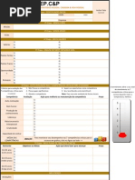 PEP.C&P_Plano Estratégico Pessoal - Carreira e Vida Pessoal