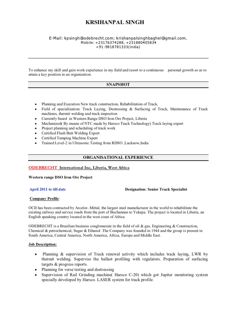 Railway Construction Professional CV PDF Track (Rail Transport