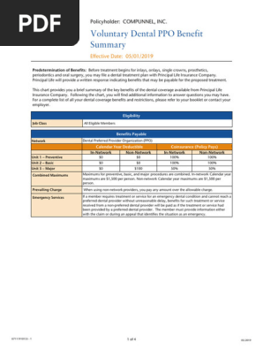 Compunnel - Dental Summary