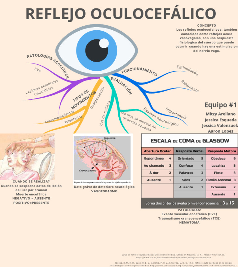 Reflejo Oculocefalico | PDF | Cabeza y cuello humanos | Enfermedades y ...