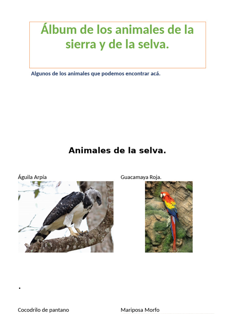 Álbum de Los Animales de La Sierra y | PDF