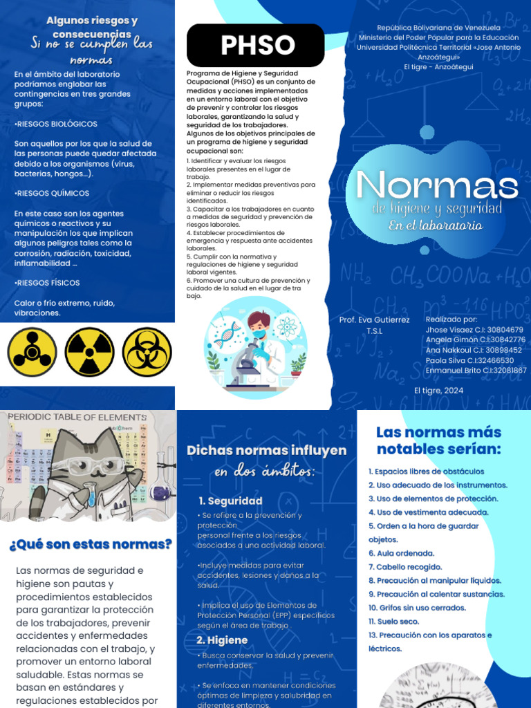 Tríptico Normas de Higiene y Seguridad en El Laboratorio | PDF ...