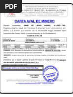 Carta de Aval de Minero