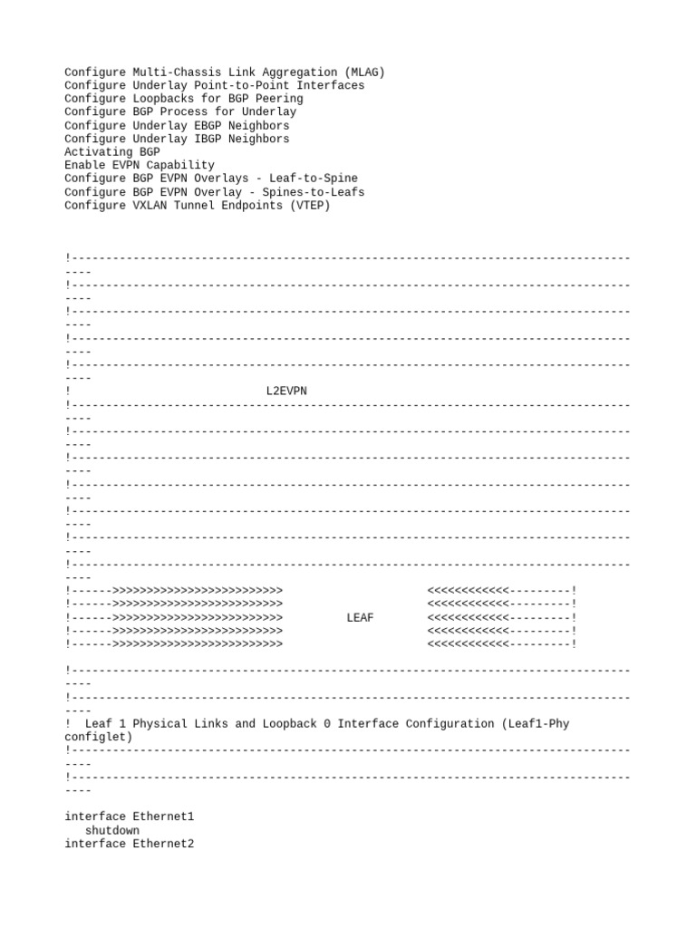 MLAG and BGP Configuration Guide | PDF | Wide Area Network | Routing