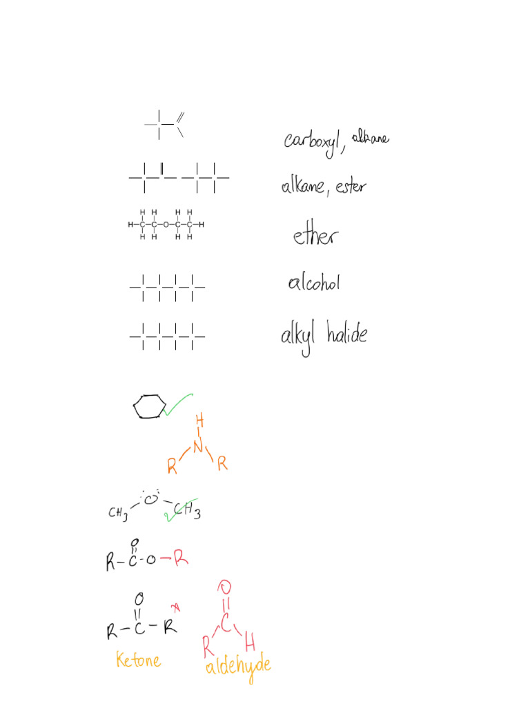 Functional Groups and Structure Drawing WS | PDF