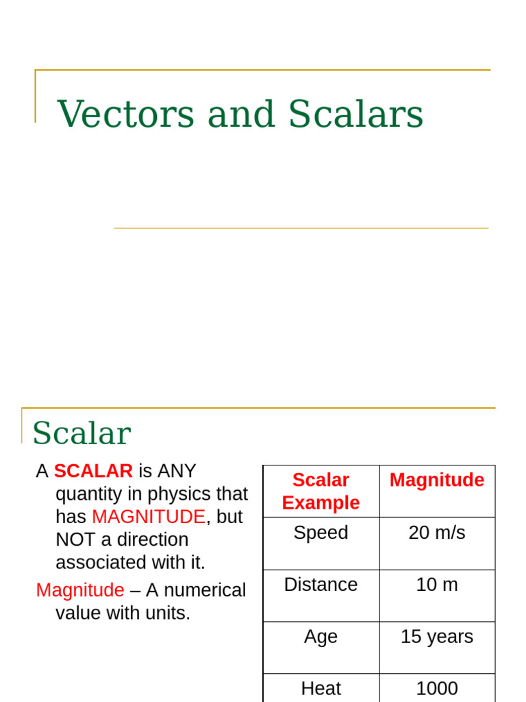 Understanding Vectors and Scalars in Physics | PDF | Euclidean Vector ...