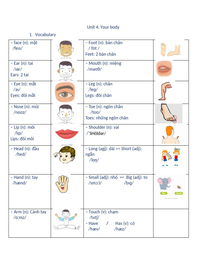 Body | PDF