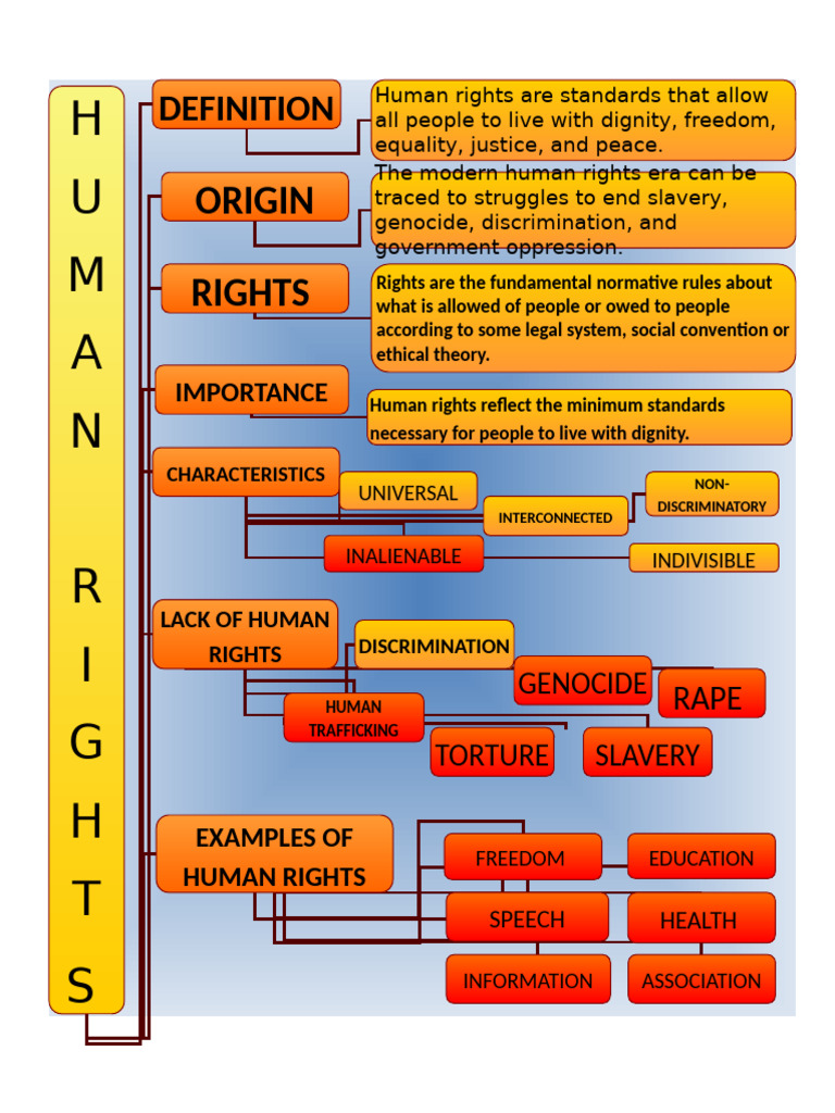 human-rights-mapping-reading-comprehension-exercises_70954 | PDF