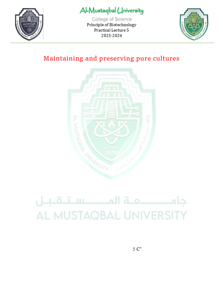 Ways To Preserve Culture And Tradition - Bscholarly - Culture Inspired By Preserving Pure Lives