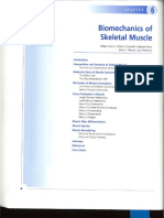 NF Muscle 6 Compressed1.20090823.4a91c58b143078.74551776