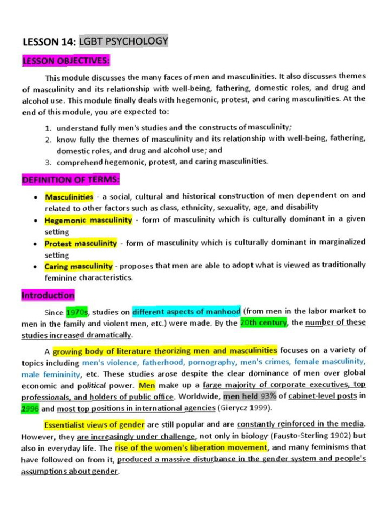 Lesson 14 Men and Masculinities | PDF