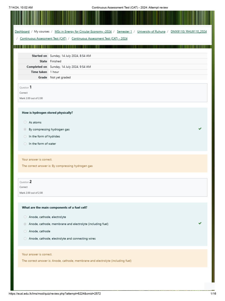 Hy Continuous Assessment Test (CAT) - 2024 - Attempt Review | PDF ...
