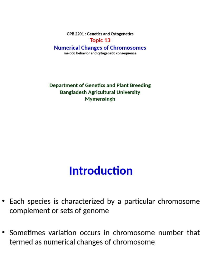 Autopentaploid and Chromosome Dynamics | PDF | Ploidy | Meiosis