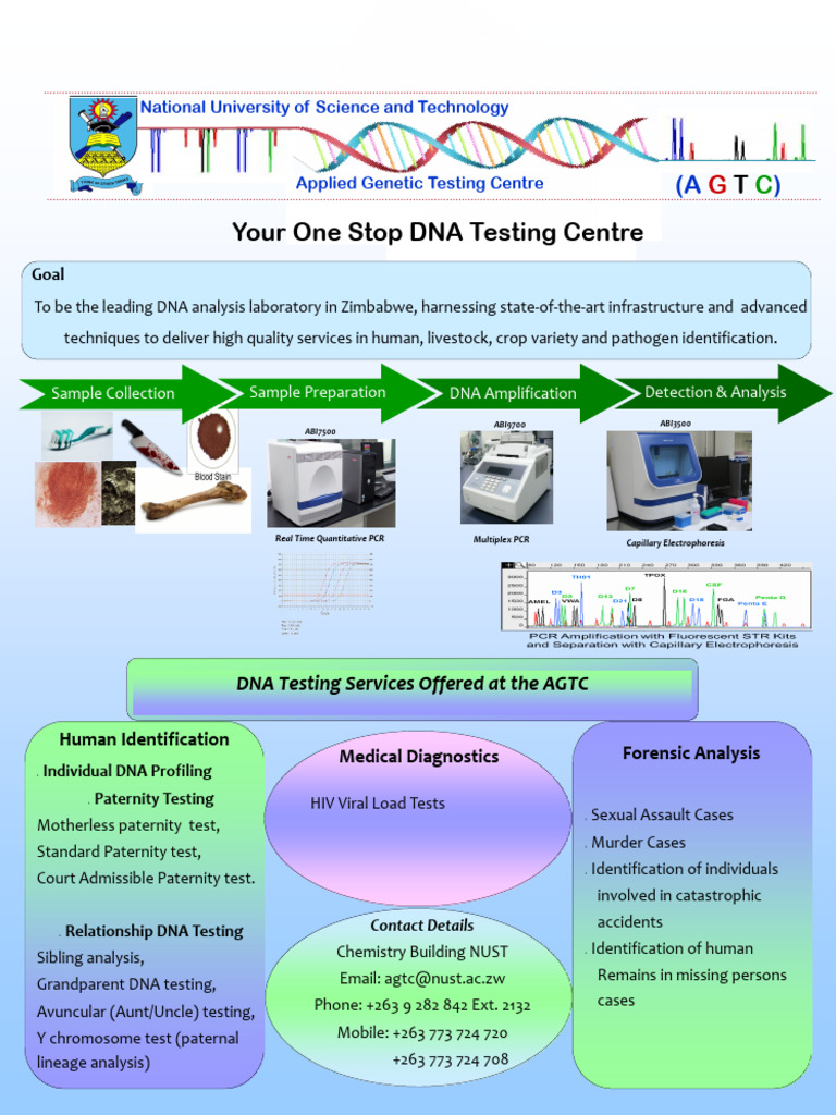 DNA Testing Services in Zimbabwe | PDF | Dna Profiling | Polymerase ...