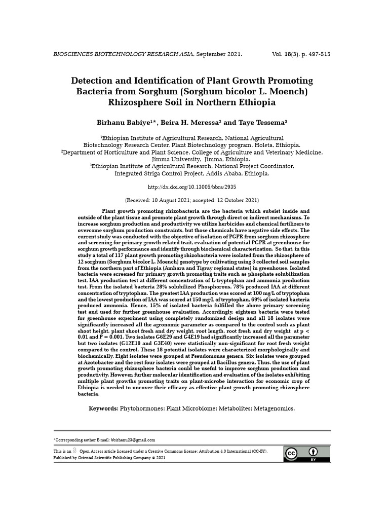 Detection and Identification of Plant Growth Promoting | PDF | Ethiopia ...