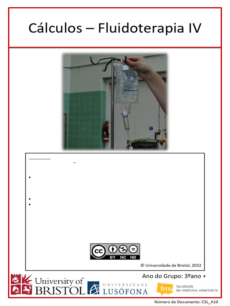 CSL - A10 Calculos - Fluidoterapia IV | PDF | Choque (circulatório) | Cães