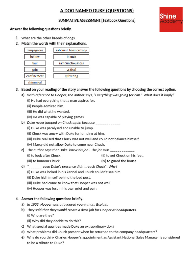 Duke: Questions and Answers Guide | PDF